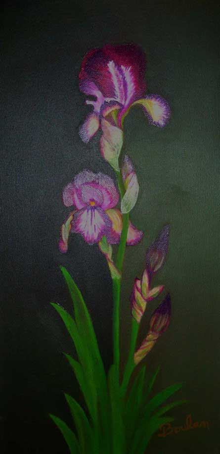 enchantement, esprits, au dela